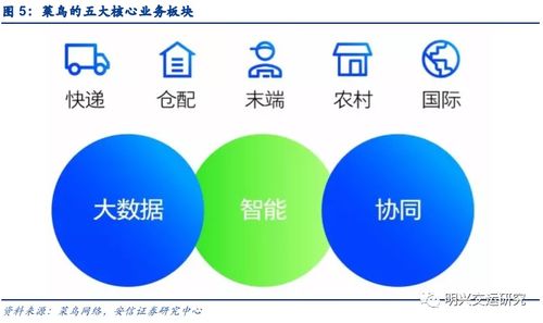 菜鳥網(wǎng)絡(luò) 不止是快遞，更是企業(yè)網(wǎng)絡(luò)技術(shù)服務(wù)的領(lǐng)航者